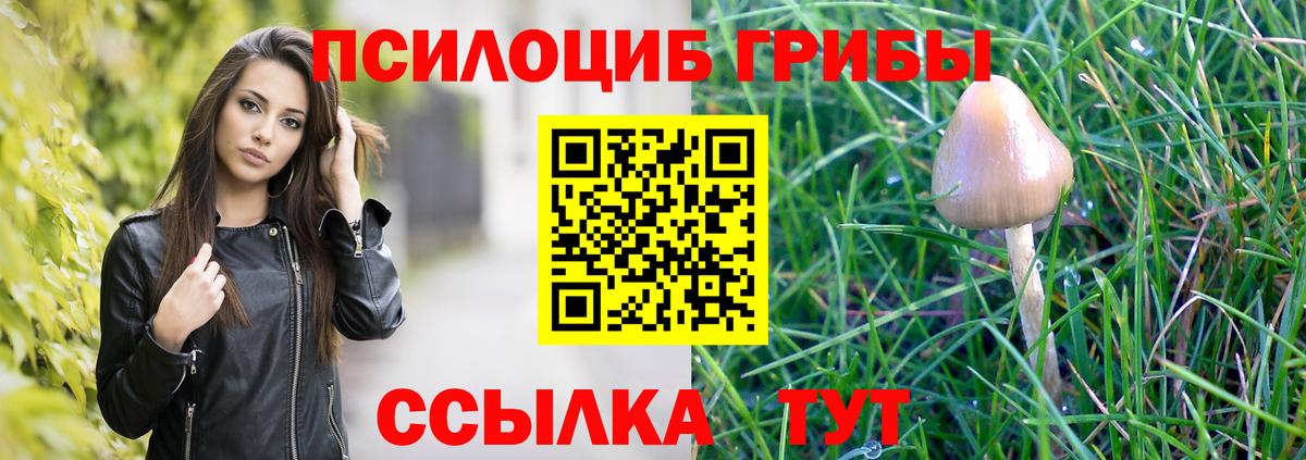 Тосно  Галлюциногенные грибы Cubensis  Вход с VPN 